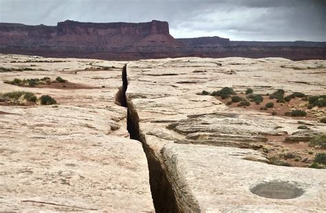 'in thecrack' Search .